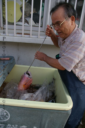Hirara City Fishmonger