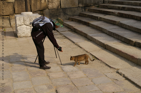 Photographer with Cat