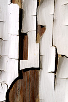 Peeling Paint 14 - White Flakes on Wood