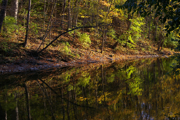 Reflecting River