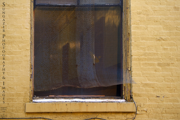 Rusting Window Screen