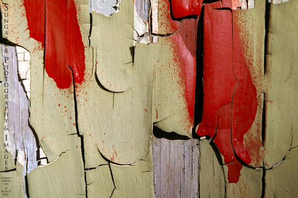 Peeling Paint 12 - Red on Khaki on Wood