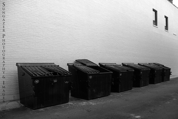 Dumpster Row - Black and White