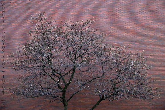 Modernist Tree