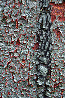 Peeling Paint 8 - White and Red Crackle