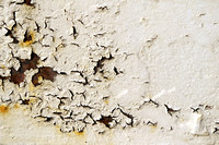 Peeling Paint 1 - White and Rust